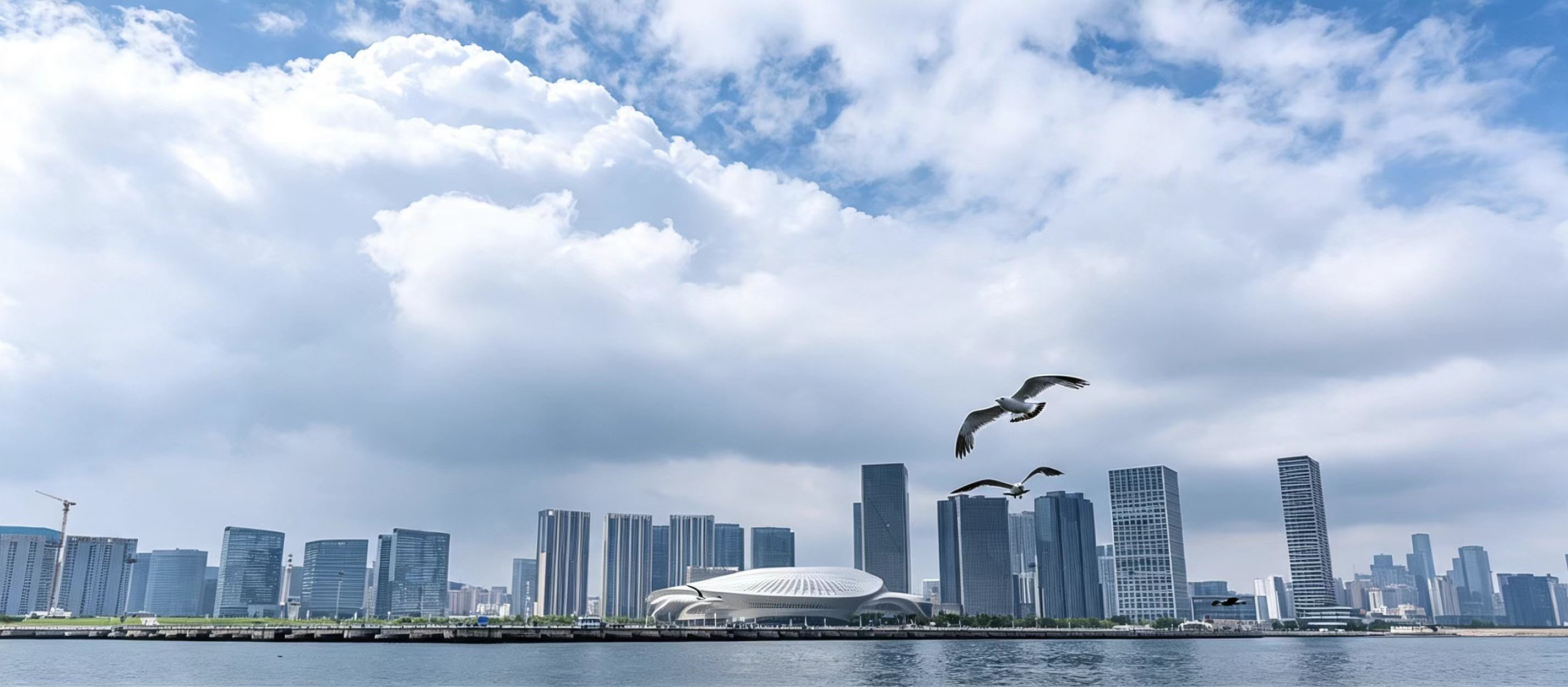 东港公园漫步滨海大道