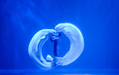 第三天