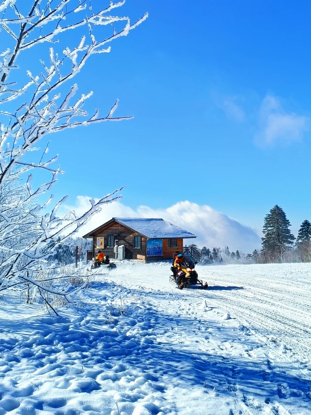雪岭