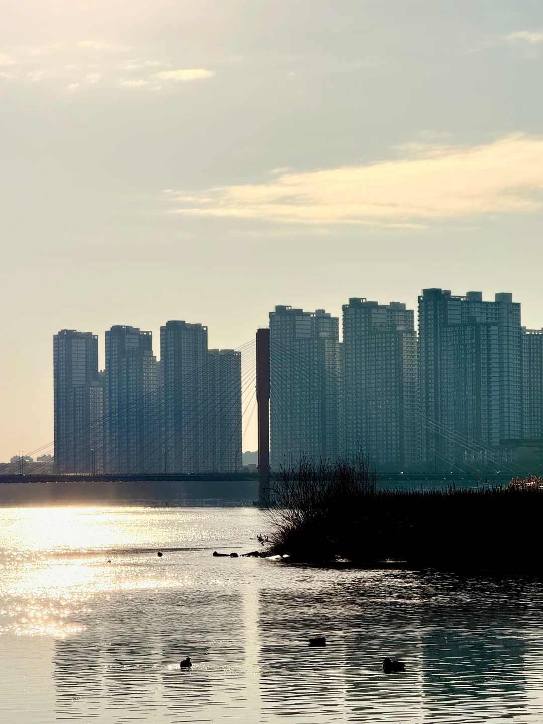 松江中路