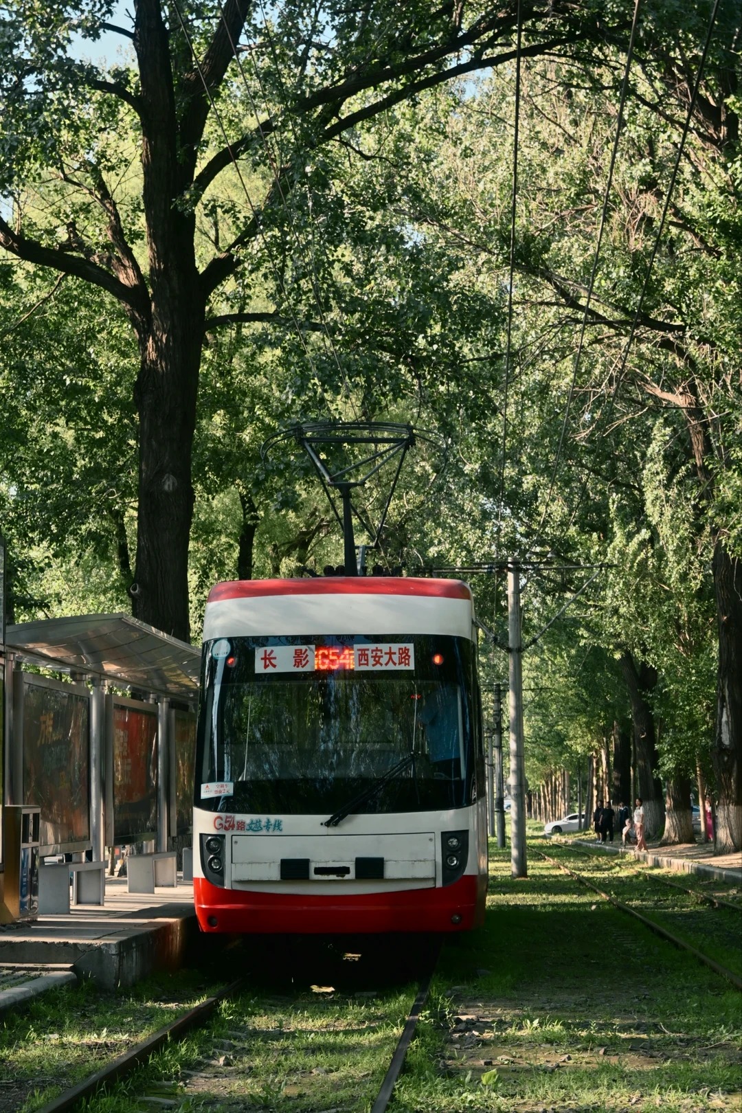 有轨电车