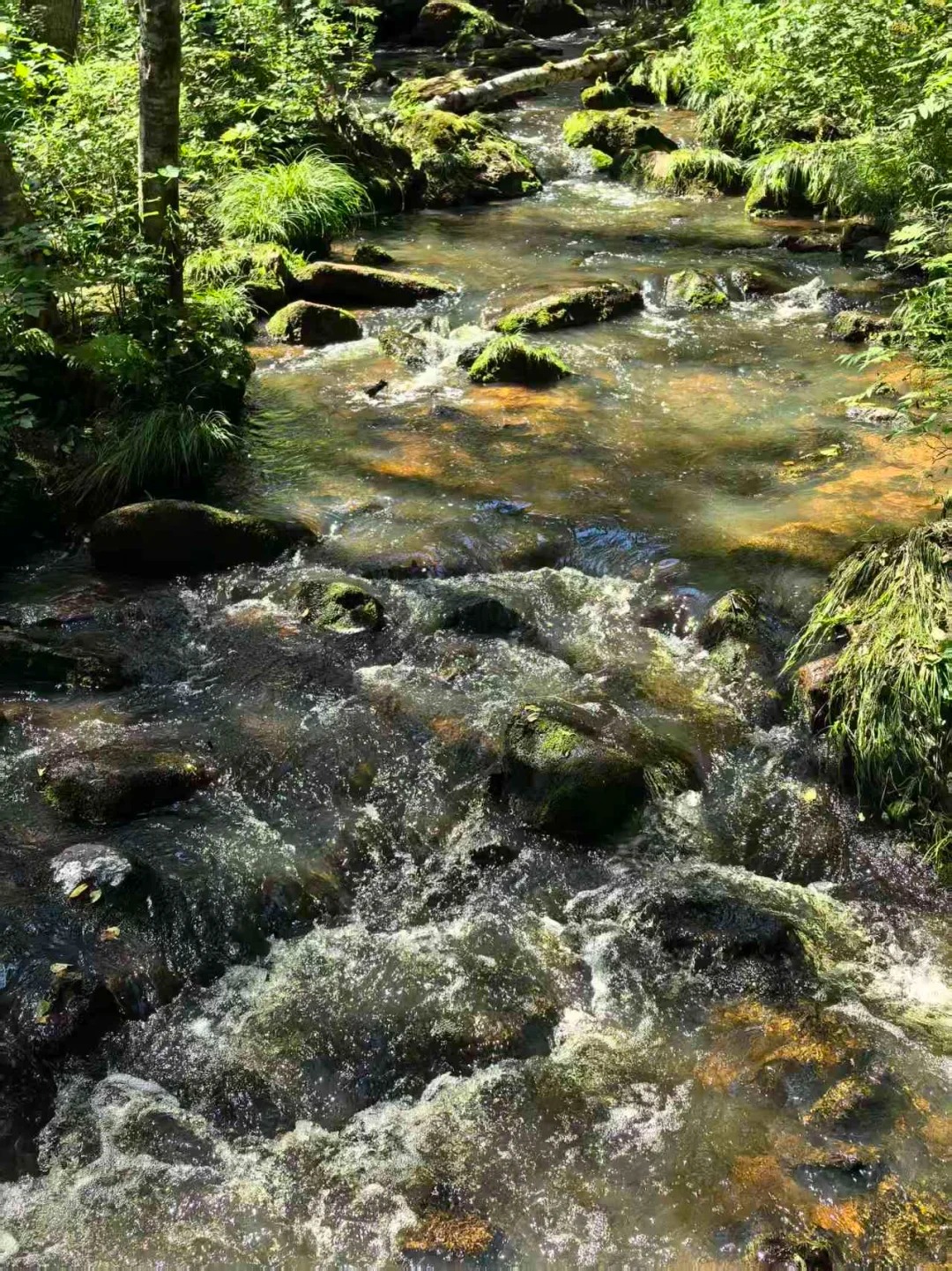 汤旺河石林
